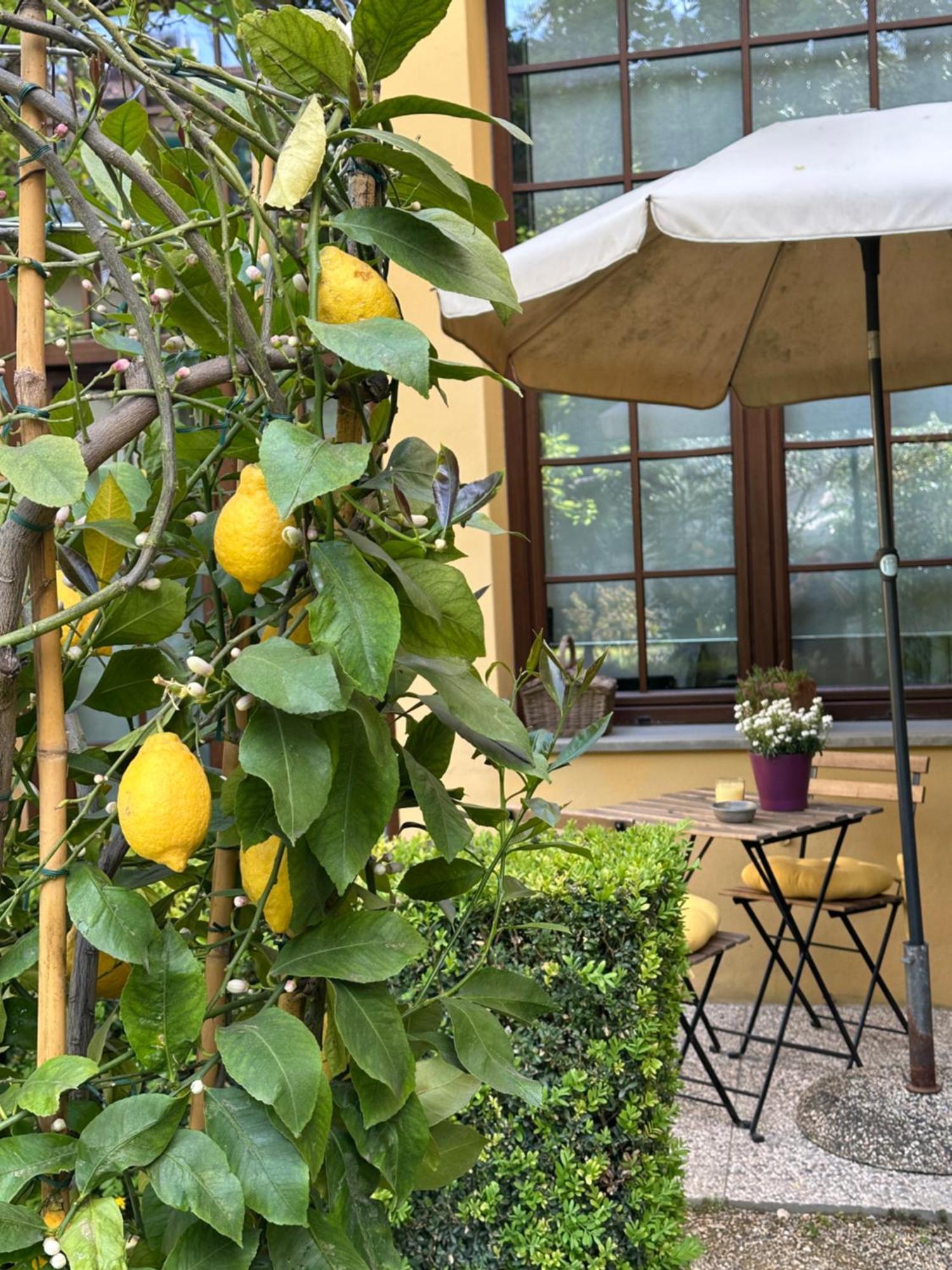 Apartamento La Limonaia Firenze Exterior foto